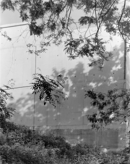 chantbranches