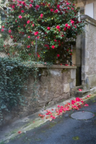 stenope montmorillon