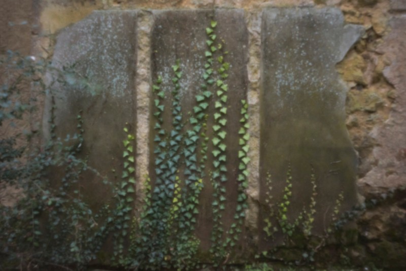stenope montmorillon