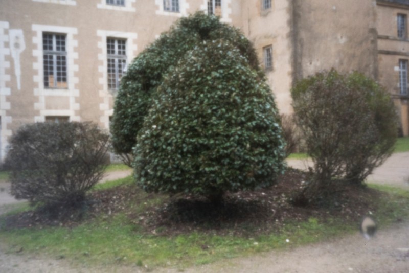 stenope montmorillon